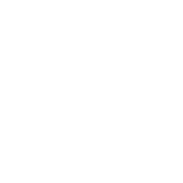 bench bench