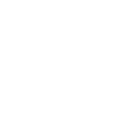 secure secure